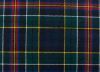 Picture of Allison Tartan