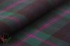 Baird Tartan Fabric