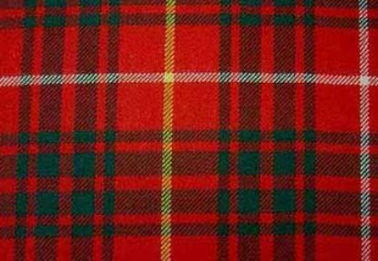 Picture of Bruce Tartan