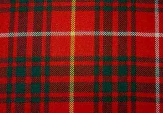 Picture of Bruce Tartan