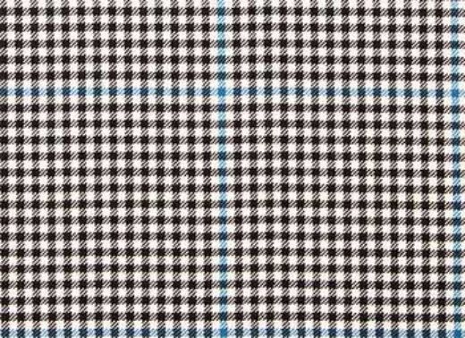 Picture of Buccleuch Tartan