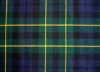 Picture of Campbell of Breadalbane Tartan