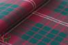 Crawford Modern Tartan Fabric