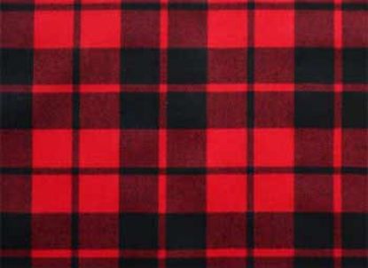 Picture of Ettrick Tartan