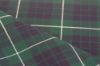 Hamilton Green Heavyweight Tartan Fabric