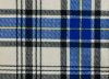 Picture of Hannay Tartan