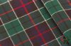 Leslie Green Modern Tartan Fabric