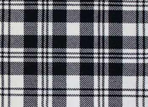 Picture of Scott Black and White Tartan