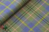 Taylor Tartan Fabric