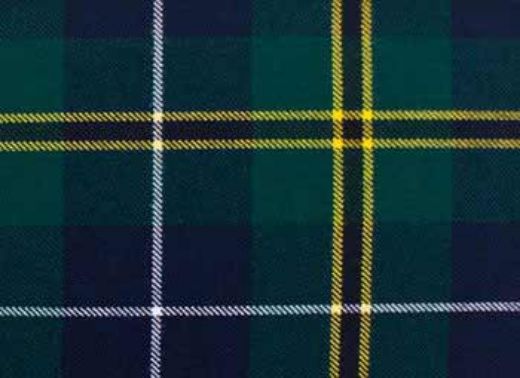 Picture of Turnbull Hunting Tartan