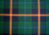 Picture of Young Tartan