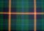 Picture of Young Tartan