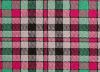 Picture of Borthwick Tartan