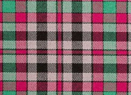 Picture of Borthwick Tartan