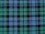 Picture of Grant Hunting Ancient Tartan