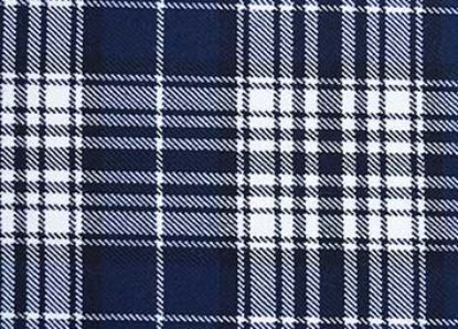 Picture of Napier Tartan