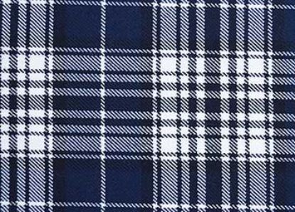 Picture of Napier Tartan 