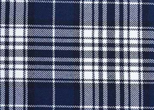 Picture of Napier Tartan