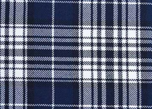 Picture of Napier Tartan 