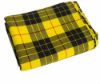 Picture of MacLeod (of Lewis) Dress Heavyweight Tartan Fabric Remnant Sale