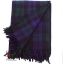 Picture of Black Watch Tartan Throw Blanket