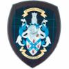 MacCallum Coat of Arms Crest