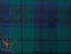 Picture of Austin Tartan