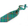 Tartan Ruche Ties