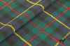 MacLeod Harris Tartan Fabric