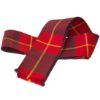 Tartan Handfasting