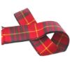 Cameron Clan Tartan Handfasting