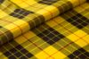 MacLeod Dress Sale Fabric
